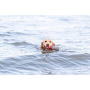 Jouet d'eau Phare avec corde pour chien