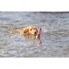 Jouet d'eau Phare avec corde pour chien