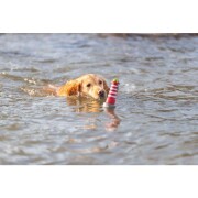 Jouet d'eau Phare avec corde pour chien