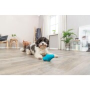 Jouet distributeur de friandises gyroscope