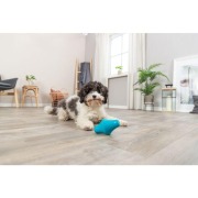 Jouet distributeur de friandises gyroscope