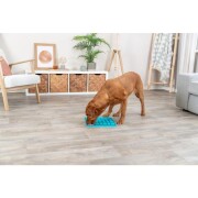 Tapis de lechage chien lick'n snack