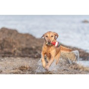 Jouet d'eau bouée sur corde