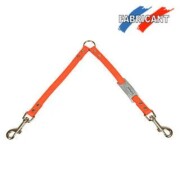 Accouple biothane 2 chiens