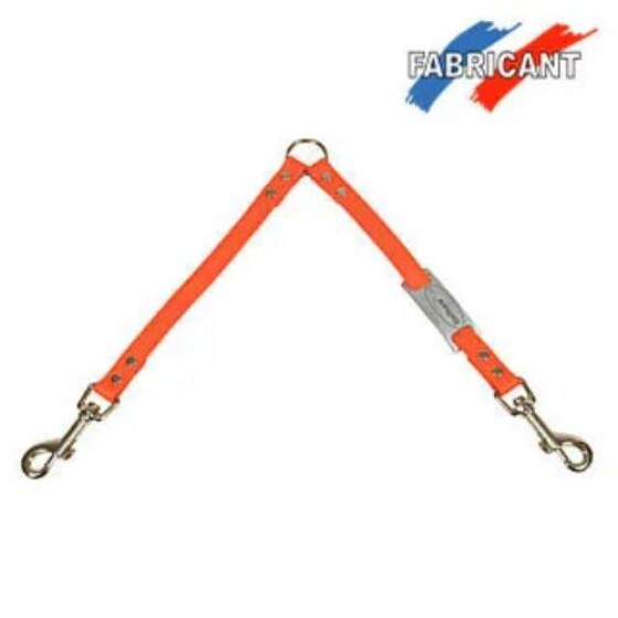 Accouple biothane 2 chiens