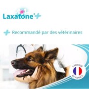 LAXATONE + Pâte anti boule de poils