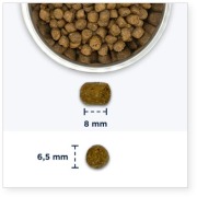 Eukanuba croquettes chat anti boule de poils sac de 2 kg