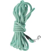 Longe pour chien Walk LAGON