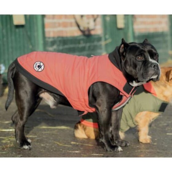 Manteau douillet imperméable pour chien Costaud BLUSH