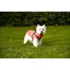 Imperméable pour chien avec harnais intégré Tom corail