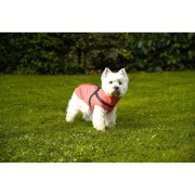 Imperméable pour chien avec harnais intégré Tom corail