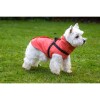 Imperméable pour chien avec harnais intégré Tom corail