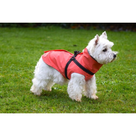 Imperméable pour chien avec harnais intégré Tom corail