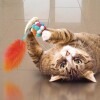 KONG Jouet bubble ball