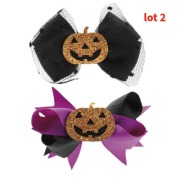 Lot de 2 barrettes Halloween pour chien