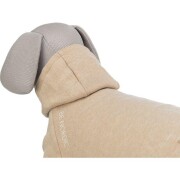 Sweat a capuche pour chien be nordic sable