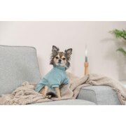 Sweat pour chien Littleton