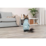 Sweat pour chien Littleton menthe