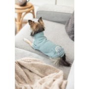Sweat pour chien Littleton menthe