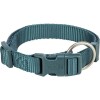 Collier Premium pétrole pour chien