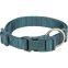 Tour de cou : 15-25 cm - Largeur de sangle : 10 mm