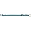 Collier Premium pétrole pour chien