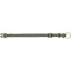 Collier Premium pour chien vert olive