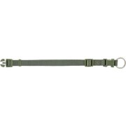 Collier Premium pour Chien Vert olive