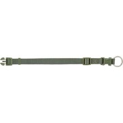 Collier Premium pour chien vert olive