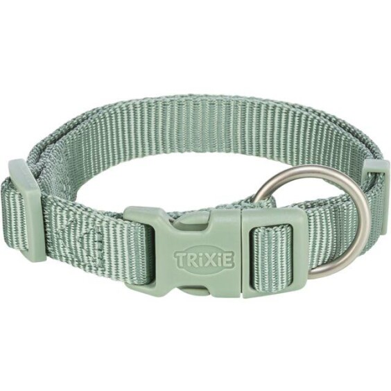 Collier Premium pour chien sauge