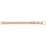 Collier Premium pour Chien Blush