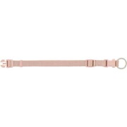 Collier Premium pour Chien Blush