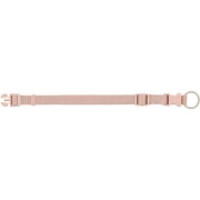 Collier Premium pour chien Blush
