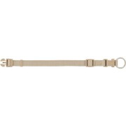 Collier Premium pour Chien Sable