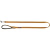 Laisse Premium pour chien Curry