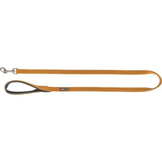 Laisse Premium pour chien Curry