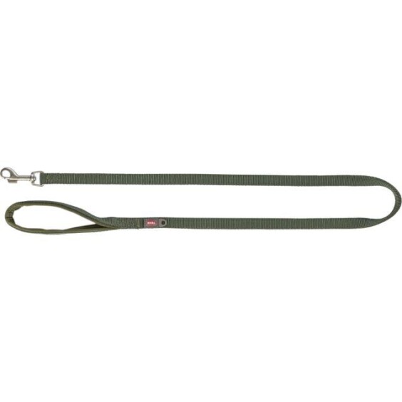Laisse Premium pour chien Vert olive