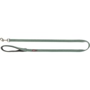 Laisse Premium pour chien Sauge