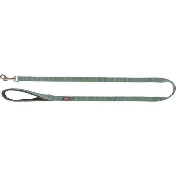Laisse Premium pour chien Sauge