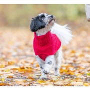 Pull pour chien Norwood rouge