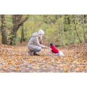 Pull pour chien Norwood rouge