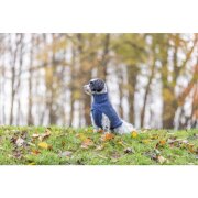 Pull pour chien : Ultra confort Norwood bleu
