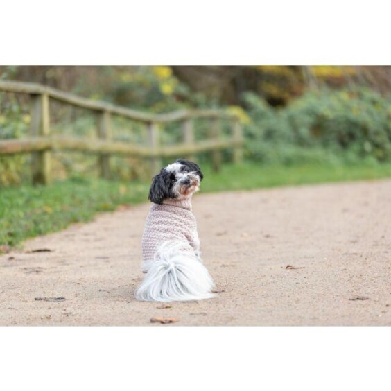 Pull pour chien Norwood blush