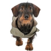 Manteau teckel : coupe spéciale hermy vert olive