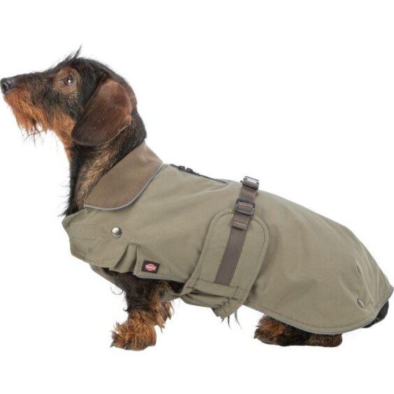 Manteau teckel Hermy vert olive