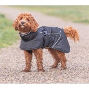 Manteau imperméable pour chien avec doublure polaire