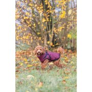 Manteau pour chien avec harnais intégré Pirou