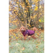 Manteau pour chien avec harnais intégré Pirou Trixie (variante)