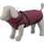 Manteau pour chien avec harnais intégré Pirou