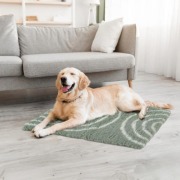 Tapis chauffant isolant qui capte la chaleur
